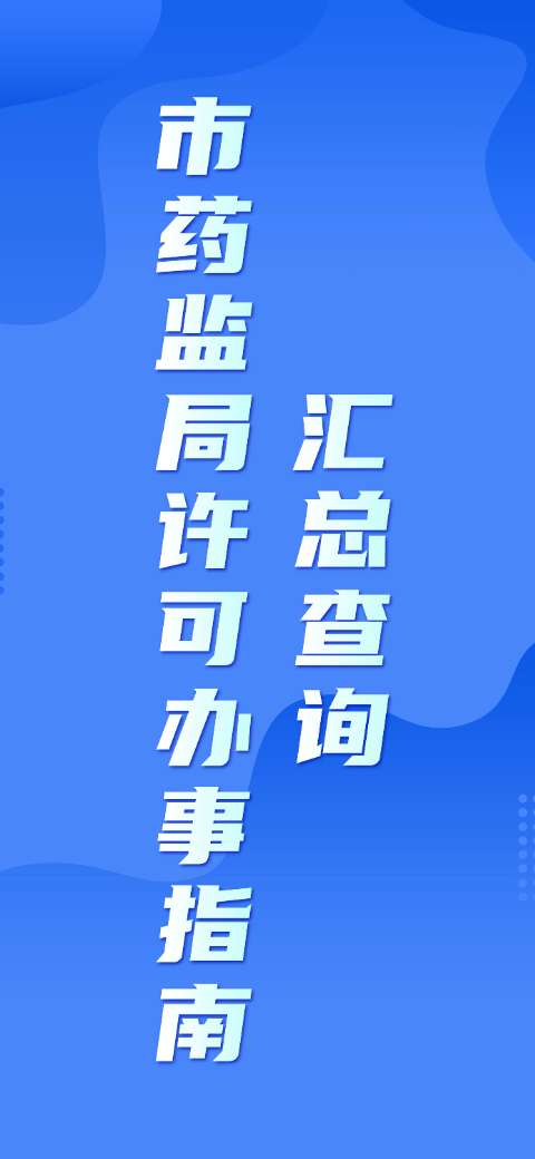 市药监局许可办事指南汇总查询