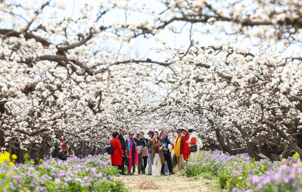 32afd18136c9496bb4dfcd8d9e10ae1b.jpg 32afd18136c9496bb4dfcd8d9e10ae1b.jpg